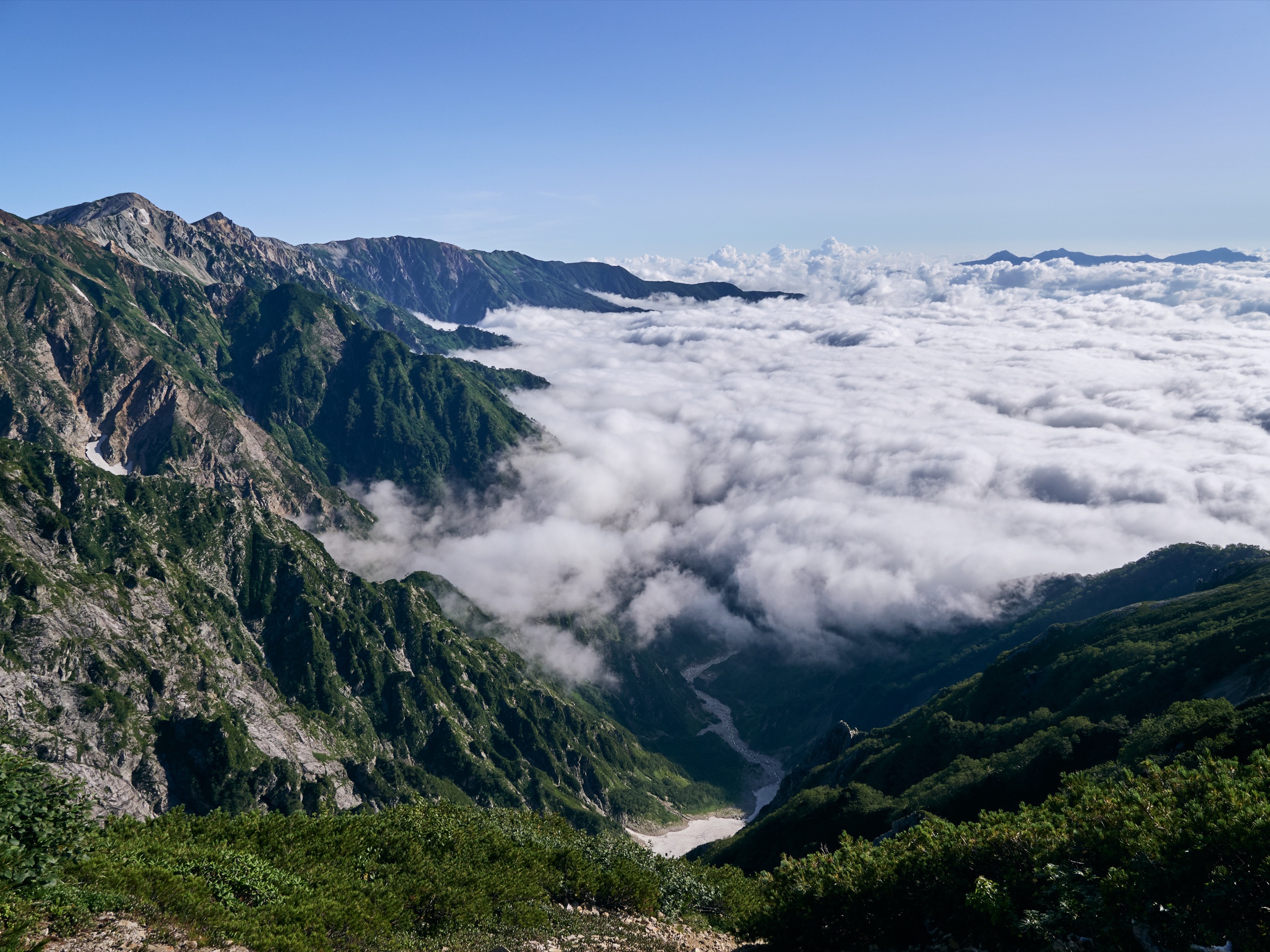 Open alpine ridges overlooking an expansive sea of clouds