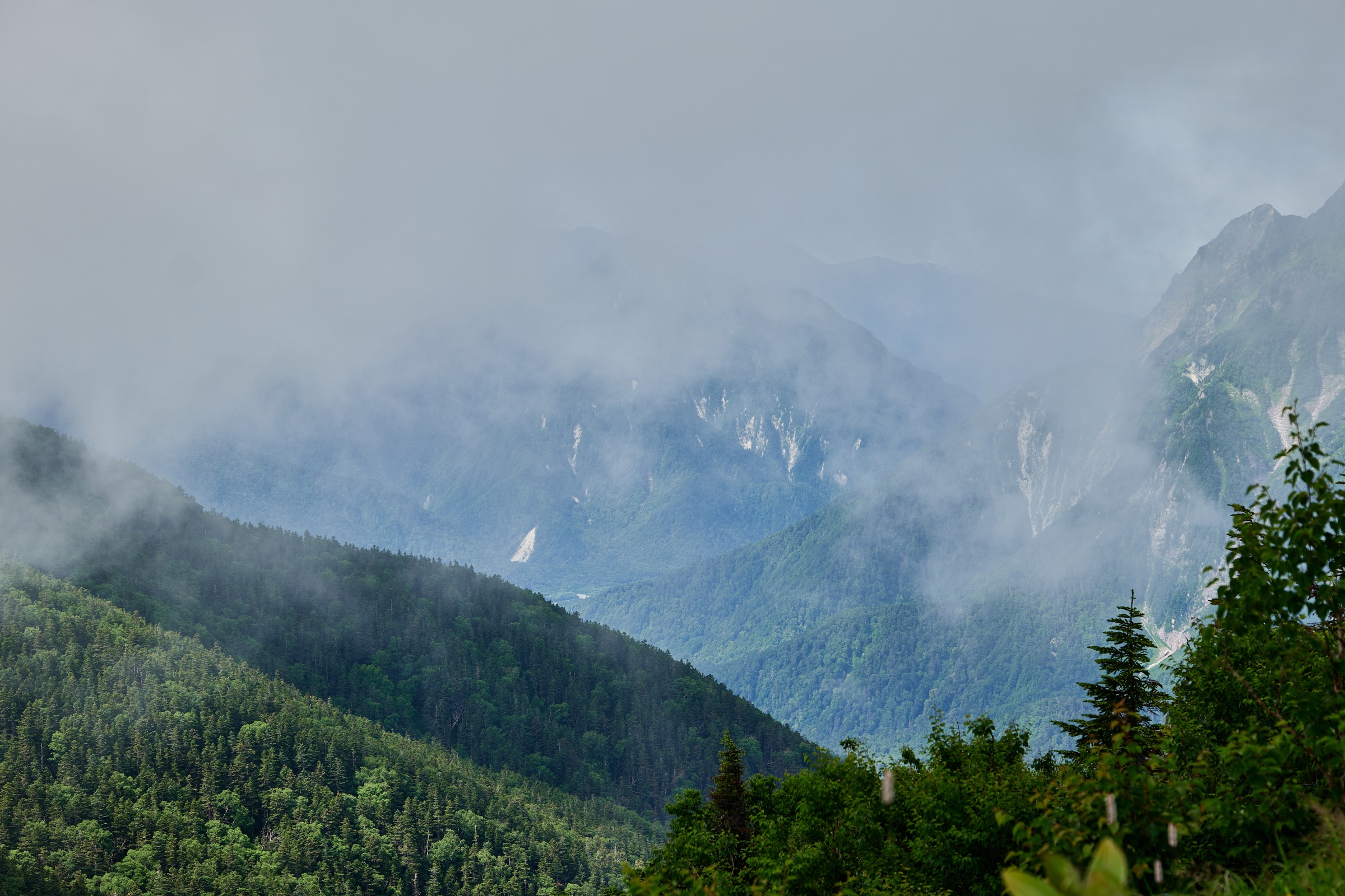 Forested mountain slopes disappearing into cloud